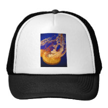 jellyfish trucker hat