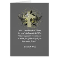 JEREMIAH 29:11 Bible Verse