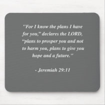 JEREMIAH 29:11 Bible Verse