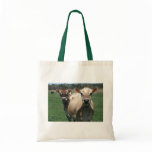 Jersey cows bags