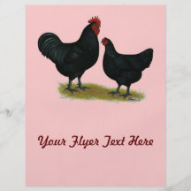 Jersey Giant Chickens Flyer