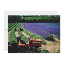 Jersey lavender farm, Jersey Channel Islands, Engl Personalized Invitation