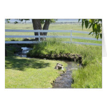Jess Valley, CA Greeting Card