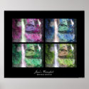Jesse's Waterfall posters