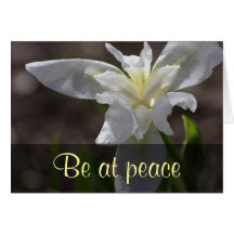 Jesus Christ gives us peace Romans 5:1 Greeting Card