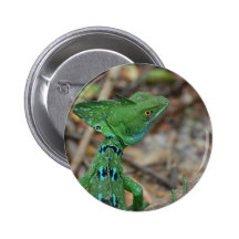 Jesus Christ Lizard Pins