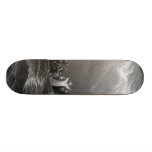 Jesus Christ Stills the Tempest Skate Decks