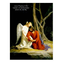 Jesus in the garden of Gethsemane Postcard