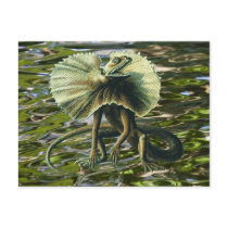 Jesus Lizard Postcard