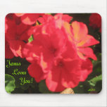 Jesus Loves You!