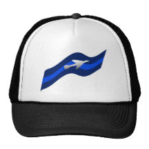 Jet in flight mesh hats