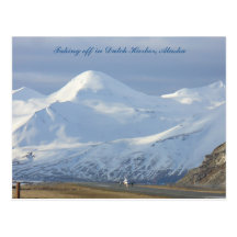 Jet on the Runway in Dutch Harbour, Alaska Post Cards