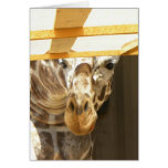 Jeter un coup d'oeil la carte de girafe