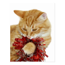 Jeu de minou de Noël Cartes Postales