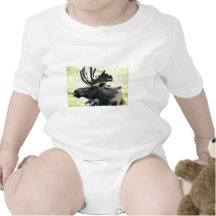Jeunes orignaux t-shirts