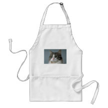Jewel 1 aprons