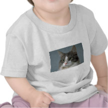 Jewel 1 tee shirt