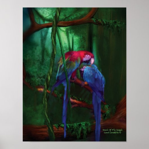 Jewels Of The Jungle Art Poster/Print