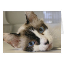 Jillie Greeting Card