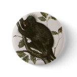 JJ Audubon - Canada Porcupine Bookstore Promo buttons