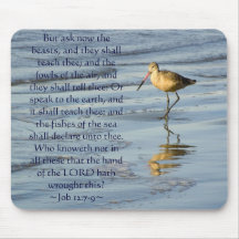 Job 12:7-9 Sandpiper Mouse Pads