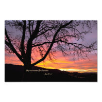 Job 37:14 Stop and consider God's wonders Photo Art
