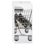 JobShopping032309-2 Rack Card Template