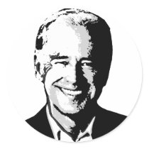 Joe Biden sticker sheet stickers