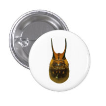 Joe Pin