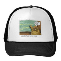 johann_woodchuck mesh hat