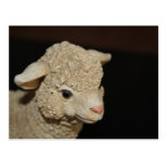 John 15:12-14 Lamb Postcard