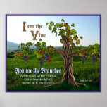 John 15: 5-8 Grape Vine Scripture posters