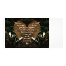 John 3:16 King James photo card