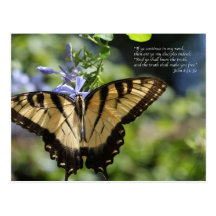 John 8 Yellow Swallowtail Butterfly Postcards