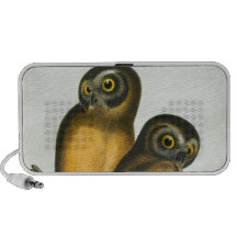 John Cassin California Owl PC Speakers