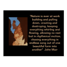 John Muir Quote Postcard