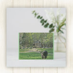 John Oliver Cabin Postcard