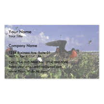Johnston Island National Wildlife Refuge Business Cards
