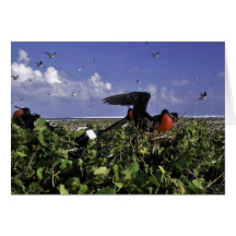Johnston Island National Wildlife Refuge Card