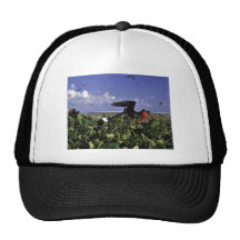 Johnston Island National Wildlife Refuge Mesh Hats
