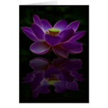 Joie de Vivre Greeting Cards