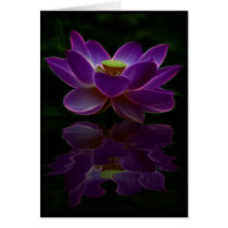 Joie de Vivre Greeting Cards