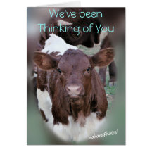 JolCrd-GetWell or Sympathy-customize Cards