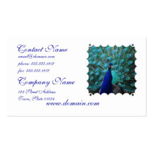 Joli carte de visite de paon