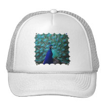 Joli casquette de baseball de paon