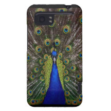 Joli girly lumineux comme photographie d'oiseau de coques HTC vivid