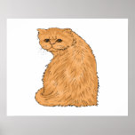 Joli Kitty Posters