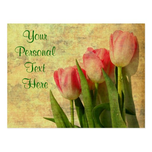 Jolies cartes postales de tulipes de ressort