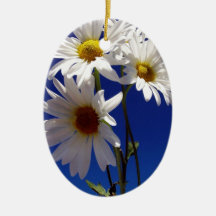 Jolies marguerites ornement