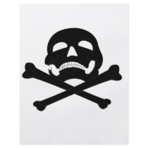 Jolly-Roger #4 Custom Flyer